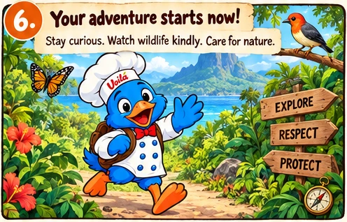06-your-adventure-starts-now